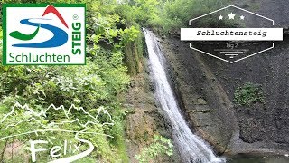 Schluchtensteig Tag 2 mit Wutachschlucht  Top Trail of Germany [upl. by Baron]