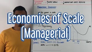 Economies of Scale  Managerial [upl. by Angadresma858]