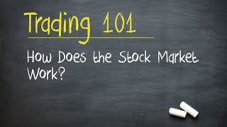 Trading 101 How Does the Stock Market Work [upl. by Giffie696]