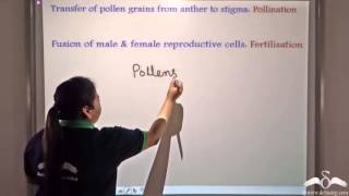 Introduction to Pollination [upl. by Alysoun]