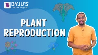 Plant Reproduction  Class 5 I Learn with BYJUS [upl. by Alithea]