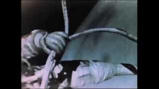 Aleksei Leonovs First Spacewalk [upl. by Wood788]