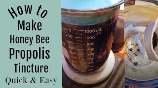 How to Make a Bee Propolis Tincture Quick and Easy [upl. by Barimah]