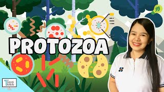 Protozoa  Protists  Biology [upl. by Anairo]