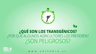 En un minuto ¿Qué son los transgénicos ¿Cómo se hacen ¿Son seguros [upl. by Anaihsat]