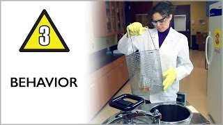 Behavior  Lab Safety Video Part 3 [upl. by Kamilah]