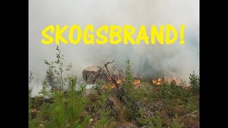 Skogsbrand 2018 [upl. by Genvieve]