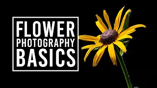 Flower Photography Tips for Beginners amp Macro Photography Ideas [upl. by Christopher430]