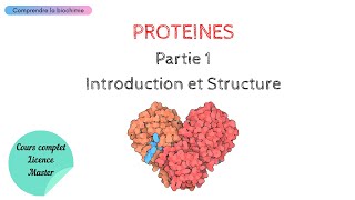 PROTÉINES  INTRODUCTION ET STRUCTURE  Biochimie Facile [upl. by Merridie]