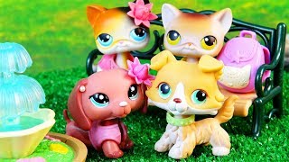 LPS Summertime Romance Film [upl. by Dael]