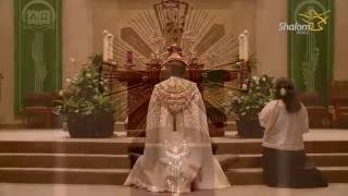 Eucharistic Adoration St Stephen Catholic Church [upl. by Tamaru228]