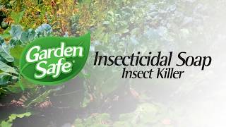 Garden Safe Brand Insecticidal Soap [upl. by Semreh]