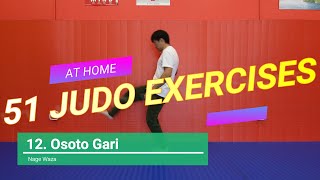 51 Judo ExercisesDrills You Can Do At Home [upl. by Alvina]