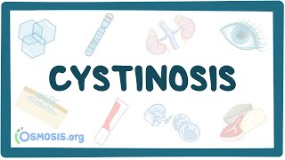 Cystinosis  causes symptoms diagnosis treatment pathology [upl. by Ainimre]