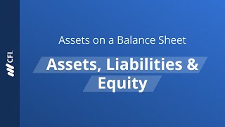 What Are Assets on a Balance Sheet [upl. by Wj]