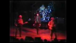 Siouxsie and the Banshees  Hong kong garden Live 80 [upl. by Grubman924]