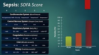 Sepsis Sequential Organ Failure Assessment SOFA Score [upl. by Ayama]