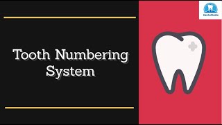 How To Learn Tooth Numbering System Tips and Tricks [upl. by Walke659]