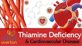 Vitamin B1 Thiamine Deficiency Cardiovascular amp Circulatory Diseases [upl. by Edahs]