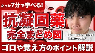 【薬剤師国家試験勉強】意外と覚えれない薬理「抗凝固薬・作用機序」を徹底解説（ゴロや覚え方）｜Vol91 [upl. by Evangelist]