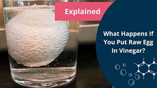 Egg in Vinegar Experiment  Osmosis  Biology [upl. by Goldy1]