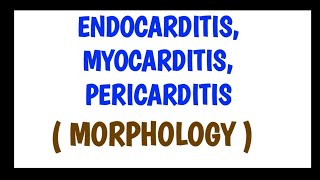 Endocarditis Myocarditis and Pericarditis  Morphology [upl. by Etnohc817]