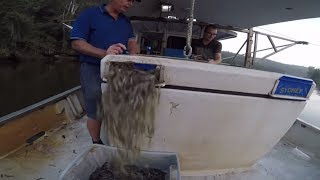 Commercial fishing on the Hawkesbury river Part 2 How to catch Prawns [upl. by Sil105]