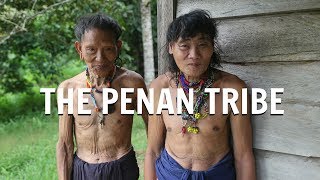 The Penan Tribe [upl. by Manus360]