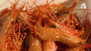 How to Cook Spot Prawns  Sustainable Seafood  Ocean Wise [upl. by Maze184]