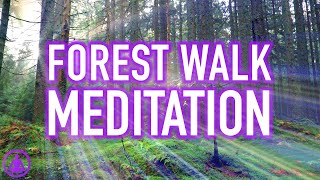 Guided Forest Walk Meditation  Calming and Relaxing Mindfulness Activity [upl. by Tove]