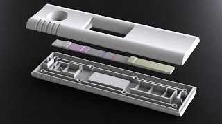 DCN Diagnostics Lateral Flow Assay Development [upl. by Gavriella]