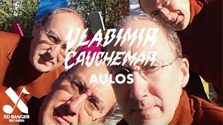 Vladimir Cauchemar  Aulos Official Music Video [upl. by Assertal]