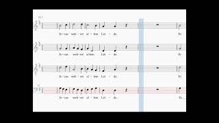 Jesus bleibet meine Freude bass BWV 147 JS Bach [upl. by Lazarus]