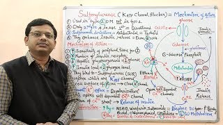 Diabetes Mellitus Part10 Mechanism of Action of Sulfonylurease  Antidiabetic Drugs  Diabetes [upl. by Icul286]