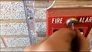 Fire Alarm Test at a Local High School [upl. by Esiahc]