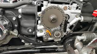 Harley Davidson Cam Chain Tensioner Inspection [upl. by Struve23]