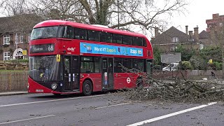 Storm Eunice chaos in London [upl. by Llenehs397]