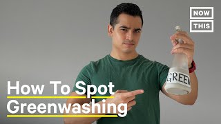 Everything You Need to Know About Greenwashing [upl. by Mccready]