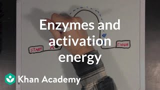 Enzymes and activation energy  Biomolecules  MCAT  Khan Academy [upl. by King]