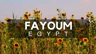 Fayoum City amp Oasis  City of Waterfalls Southwest of Cairo  Alchemist [upl. by Sinnod]