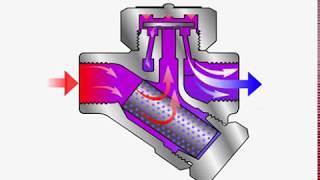 Steam Trap  Thermodynamic  How it Works [upl. by Nodnarb]