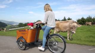 Introduction Babboe Mountain Cargobikes [upl. by Hallette]