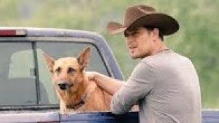 A Summer Romance 2019 Hallmark Movie Tribute Love on the Ranch [upl. by Rilda]