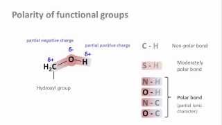 Biochemistry 21 Bond polarity [upl. by Yerfej431]