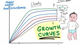 Growth Charts Percentile Curves Are You Tall Or Short [upl. by Ennaed]