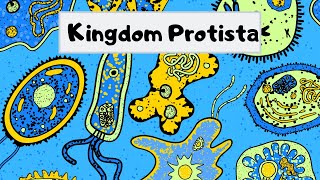 Kingdom of Protista [upl. by Renruojos]