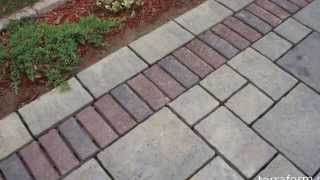 Polymeric sand joint replacement project [upl. by Nesnah]