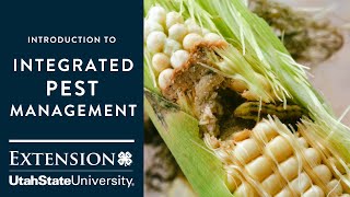 Introduction to Integrated Pest Management [upl. by Marrilee692]