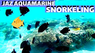 Snorkeling amp feeding the fish at Jaz Aquamarine Hurghada 🇪🇬 Egypt 🐠 🐟 🐡 [upl. by Arak64]