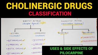 Autonomic Pharmacology  4  Cholinergic Drugs Classification  EOMS [upl. by Yerag197]